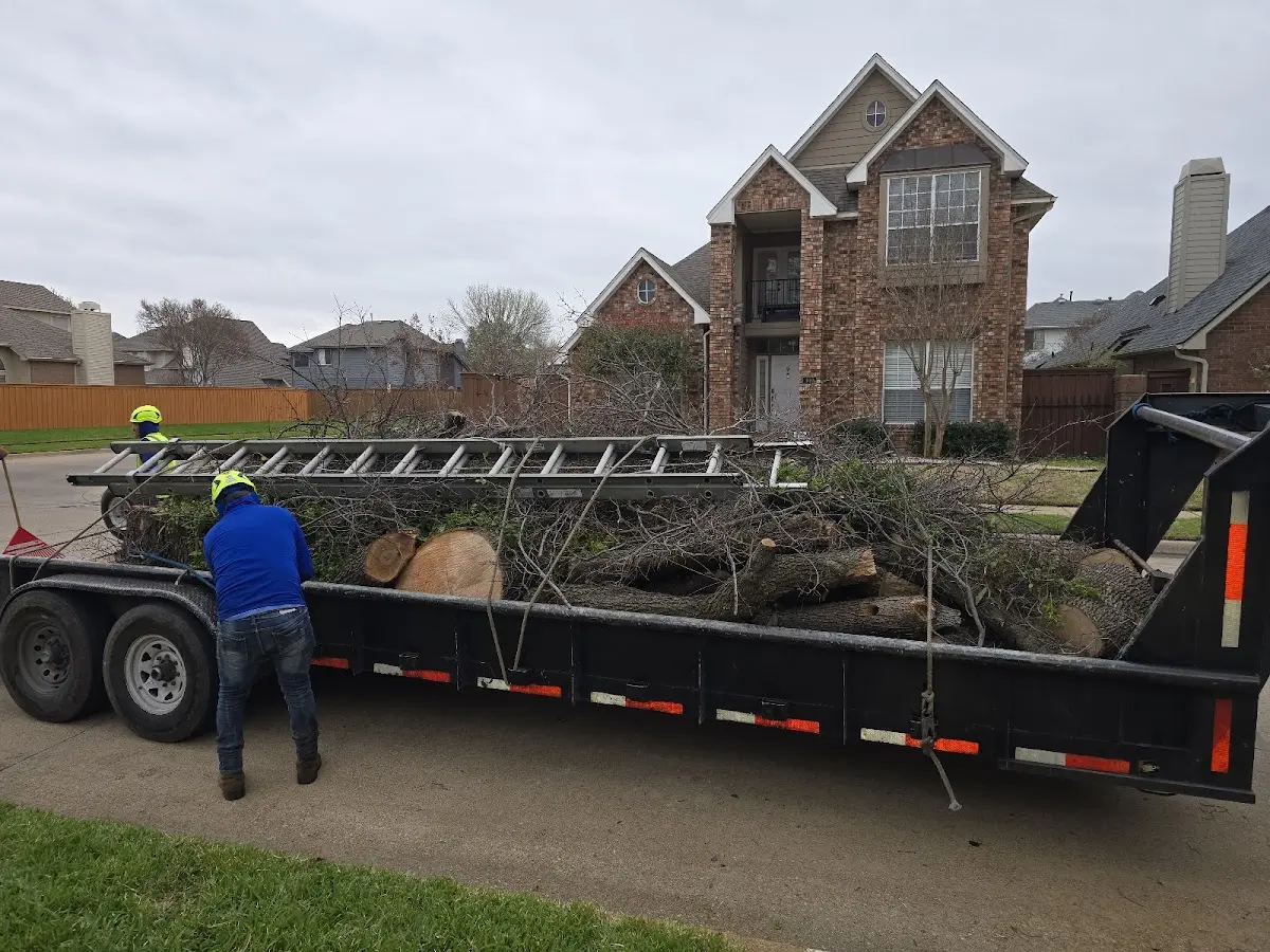 Expert Tree Fertilization with proper safety equipment in Midvale